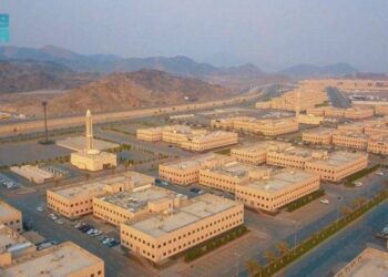 Saudi Arabia allocates 324 million sqm land to government entities