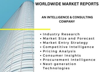 Healthcare Payer Analytics Market: Expansion Strategies