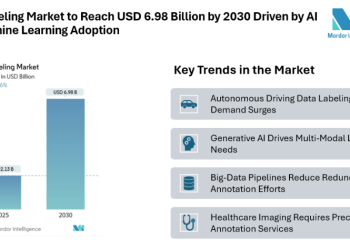 Data Labeling Market to Reach USD 6.98 Billion by 2030 Driven by AI and Machine Learning Adoption