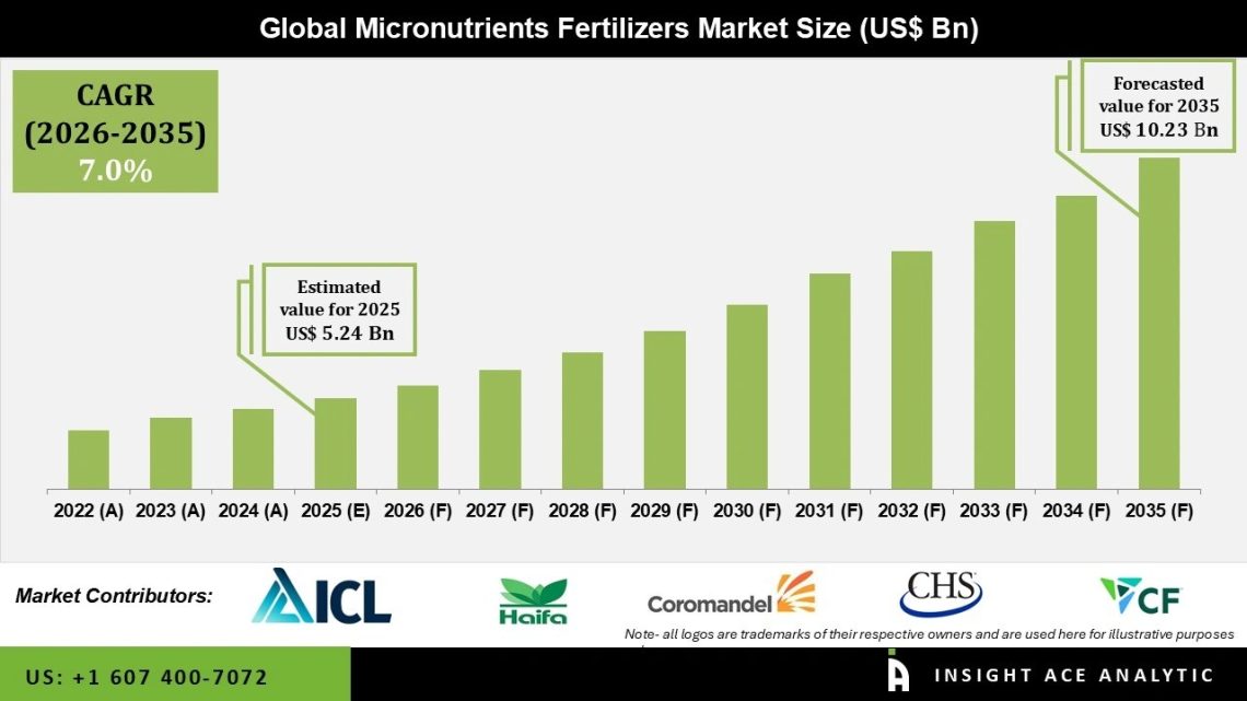 Micronutrients Fertilizers Market Key Players and Strategic Developments 2035