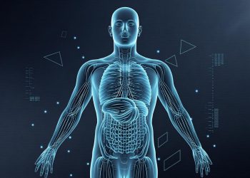 .97 Billion by 2029 — How AI-Powered Reconstruction and Spatial Computing Are Transforming Visual Intelligence